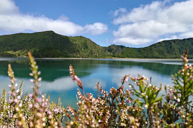 Lagoa do Fogo Walking Tour with Lunch from Ponta Delgada - Picnic lunch on the trail, with a vegetarian option that actually works