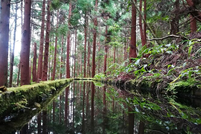 Lagoa do Fogo Walking Tour with Lunch from Ponta Delgada - Weather and wind: the real-life factor that shapes the day