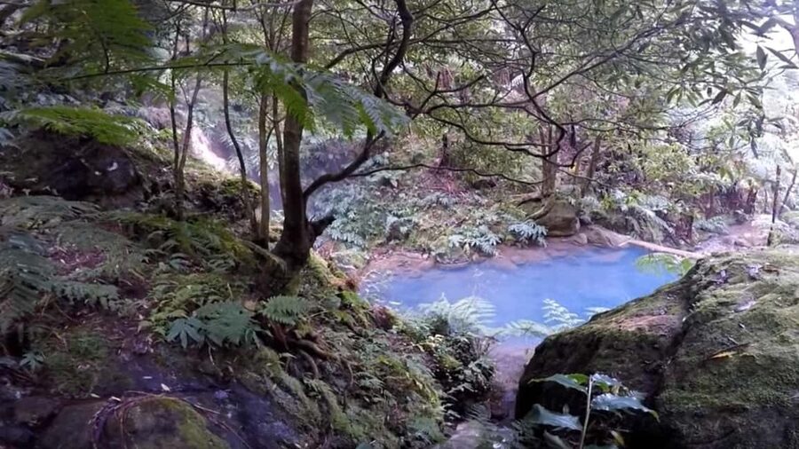 Lagoa do Fogo: Whales & Volcano Geo Tour w/ Biologist +lunch - Down the crater at 15:00: Caldeira Velha environmental context and your two stop options