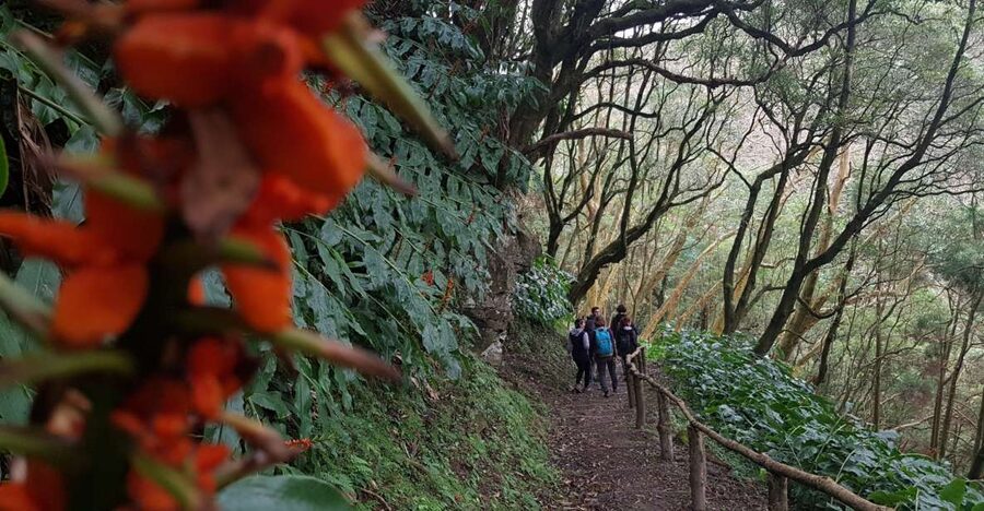 Lomba de São Pedro: Waterfall Hiking Tour with Tea Tasting - Santa Iria viewpoint: a quiet closer with one last look
