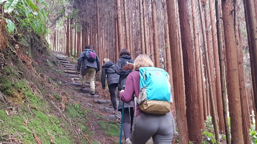 Lomba de São Pedro: Waterfall Hiking Tour with Tea Tasting - The village crossing and fountain energy before picnic lunch