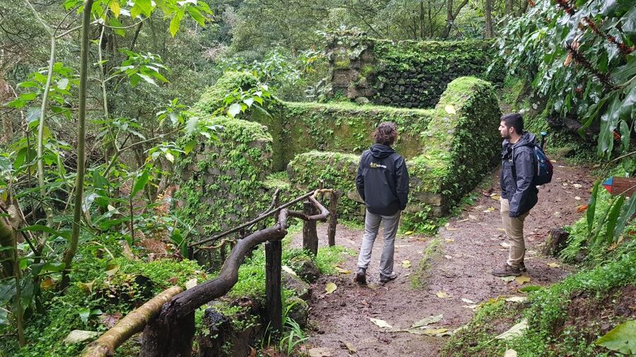 Lomba de São Pedro: Waterfall Hiking Tour with Tea Tasting - Ribeira dos Caldeirões Natural Park: the afternoon waterfall and downtime