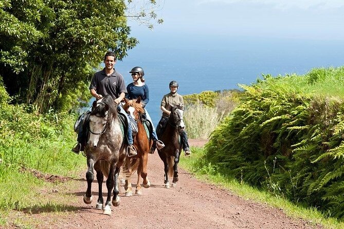 Lusitano Trail - Horseback riding for beginners - The Lusitano Trail Itself: Walk-Only Riding to Wild North-Coast Cliffs