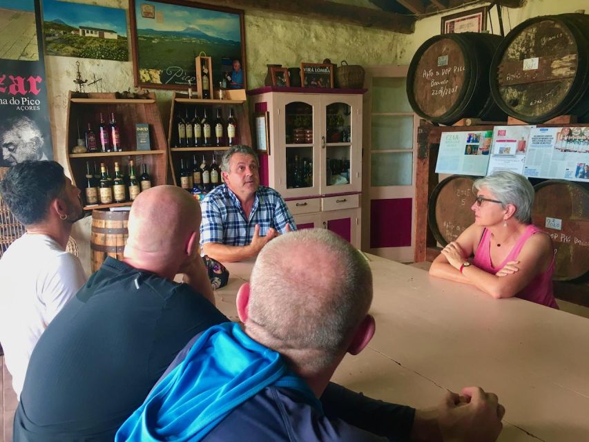 Luxury Wine Tasting at the Czar Pico Winery - The pacing between stops, with Criacao Velha and vineyard views