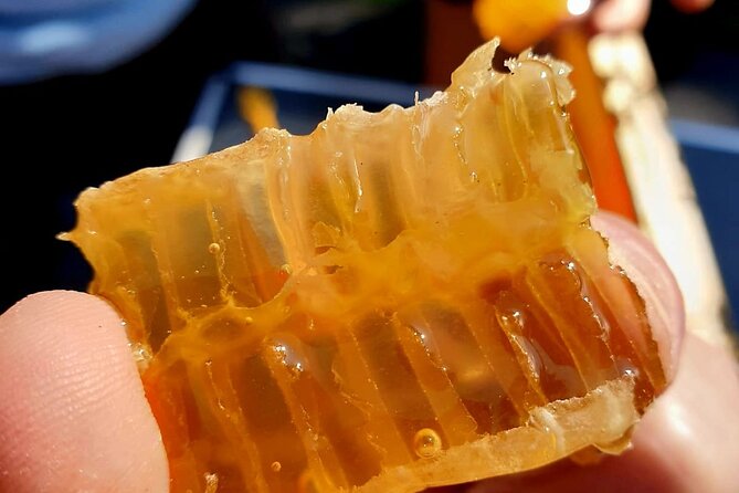 Magical World of Beekeeping on São Miguel Azores Private Tour - A Private 2-Hour Beekeeping Farm Visit on São Miguel (4pm Start)