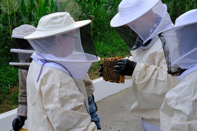 Magical World of Beekeeping on São Miguel Azores Private Tour - Honey, Propolis, Pollen, Royal Jelly, and Honey Liqueur: What You Taste