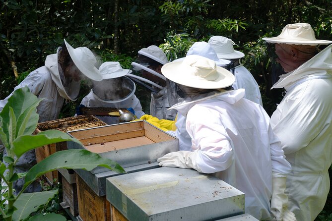 Magical World of Beekeeping on São Miguel Azores Private Tour - Price and Value: Is $42.02 Worth It?