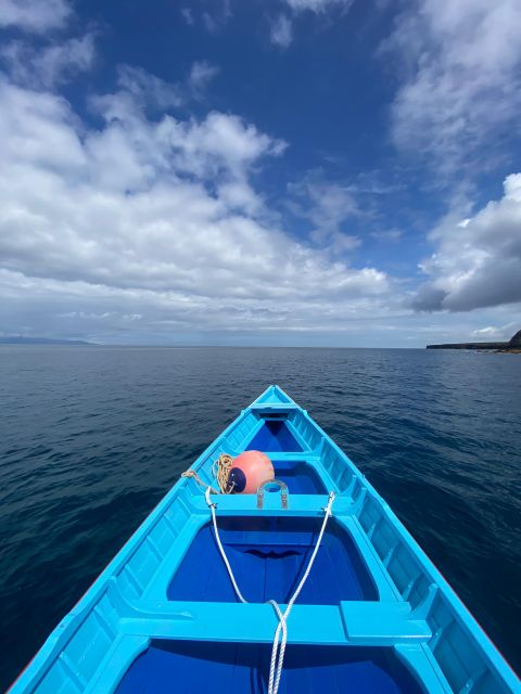 Memória Baleeira - Unforgetable Ride in the waters of Pico - The 45-Minute Cruise: What You Actually Do on the Water