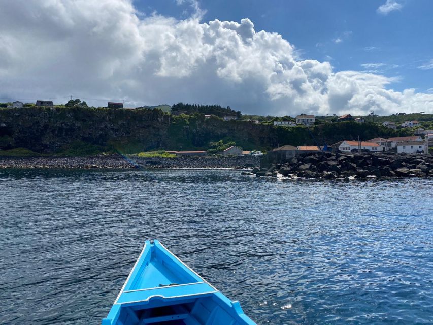 Memória Baleeira - Unforgetable Ride in the waters of Pico - Price and Value: Is $70 per Person a Good Deal?