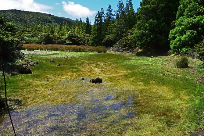 Mistérios Negros Hiking Trail - Terceira Azores - Why Misterios Negros Feels Like the Best Kind of Terceira Day