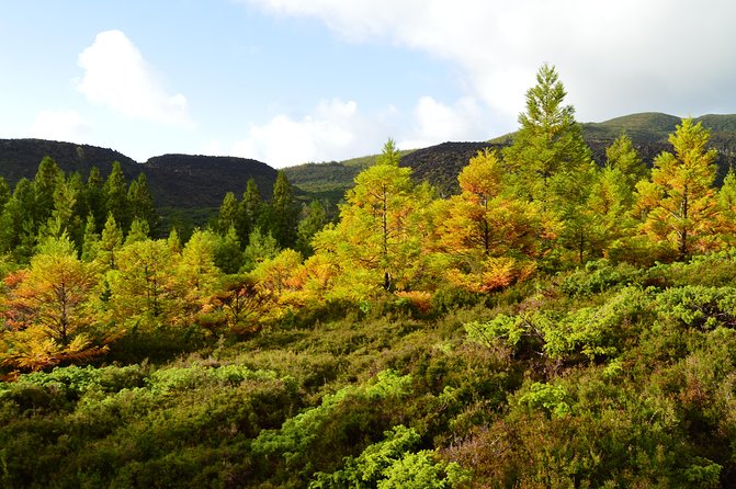 Mistérios Negros Hiking Trail - Terceira Azores - The Hike Style: Rocky Coast, Mountain Valleys, and Volcanic Storytelling