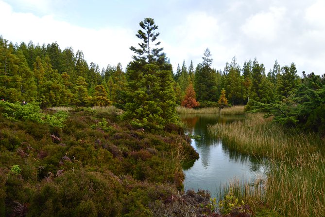 Mistérios Negros Hiking Trail - Terceira Azores - What to Pack for a Rocky Trail Day