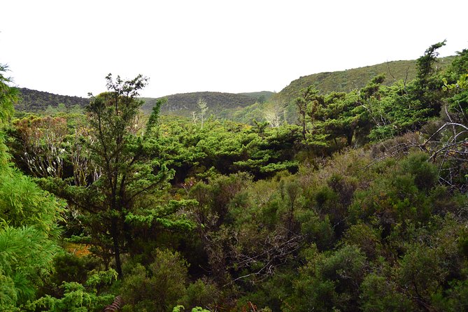 Mistérios Negros Hiking Trail - Terceira Azores - Weather Matters Here, and the Tour Plans Around It