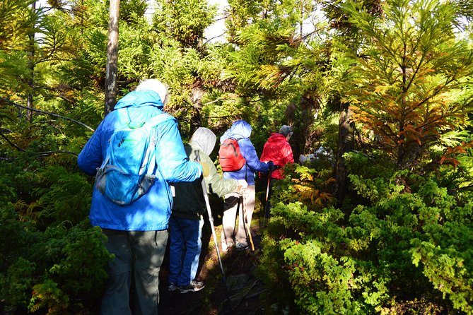 Mistérios Negros Hiking Trail - Terceira Azores - Stop 1, Trilha de Misterios Negros: What You’ll Do and How It Likely Feels