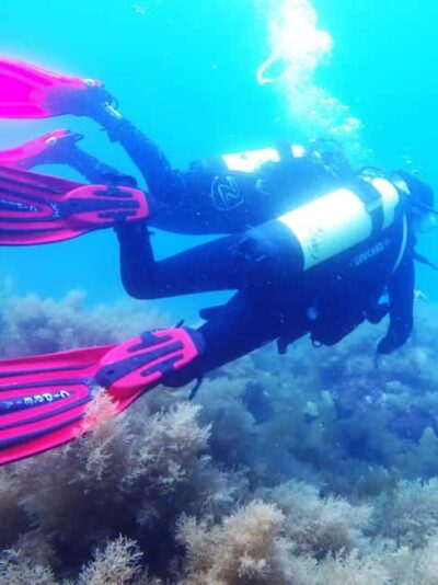 My first scuba dive into the Ocean from Sao Miguel