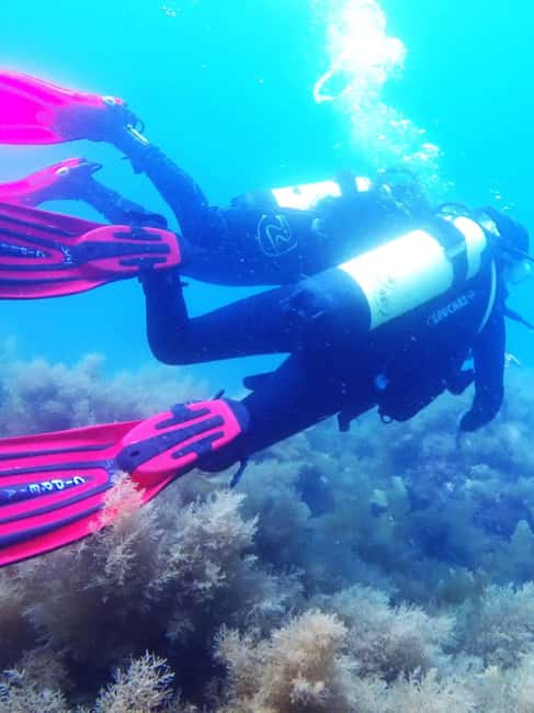 My first scuba dive into the Ocean from Sao Miguel - Marina de Vila Franca do Campo Setup and Boat Ride Timing