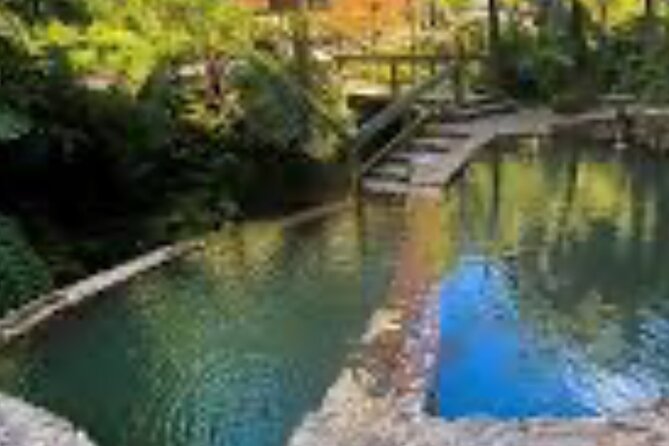 Natural Monument Old Caldeira - Price and Value at $156.53: What You Pay, What You Save