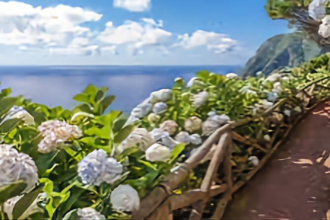 Nordeste District, East Coast, Povoação Full Day Private Tour - Pickup From Ponta Delgada, Start Time, and How the Day Flows