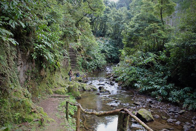 Nordeste Full Day Tour with Cooking Lesson - PRIVATE - Cooking Lesson Included: The Part You’ll Remember Later