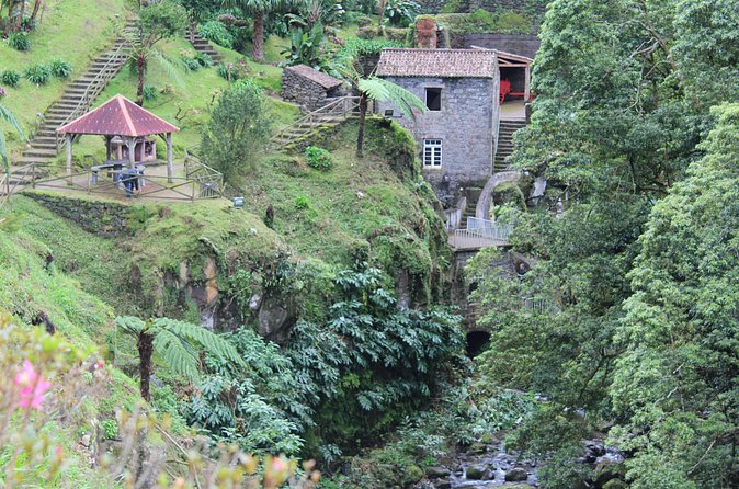 Nordeste Full Day Tour with Cooking Lesson - PRIVATE - What to Expect From the Day, Hour by Hour