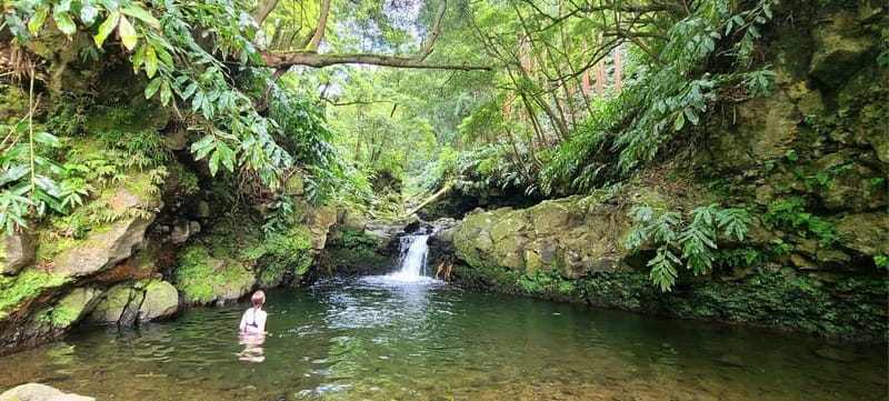 Nordeste/Northeast coast FULL DAY Waterfalls Hike - The 8-Hour Flow: Pickup, Van Comfort, and How the Day Is Organized
