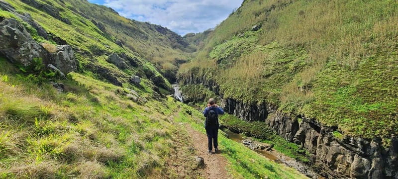 Nordeste/Northeast coast FULL DAY Waterfalls Hike - Waterfalls and Freshwater Swimming: How to Make That Moment Work