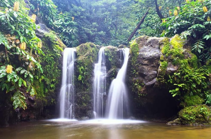 Nordeste/Northeast coast FULL DAY Waterfalls Hike - Meeting Your Guide: Chris, Júlio, and the Value of On-the-Spot Adjustments