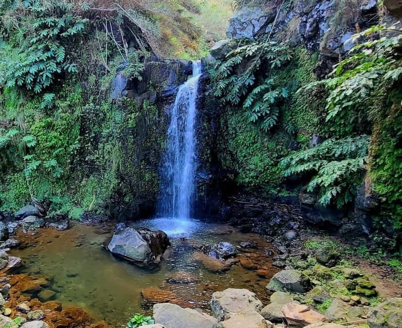 Nordeste/Northeast coast FULL DAY Waterfalls Hike - Weather Reality Check: Rain or Shine and How to Dress Smart