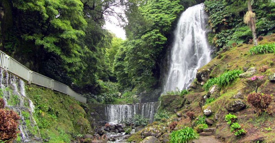 Nordeste Tour from Ponta Delgada - Gorreana Tea Factory: a quick cultural reset before the nature