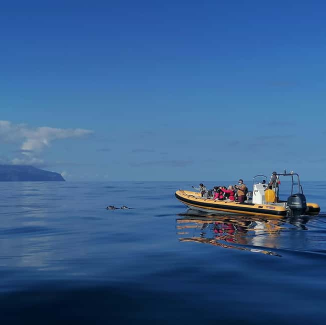 Passeios Turísticos: Trip to Corvo by Boat - What the 450-minute sea day is really like