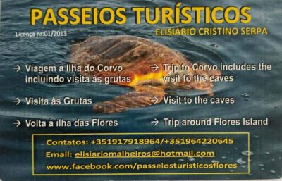 Passeios Turísticos: Trip to Corvo by Boat