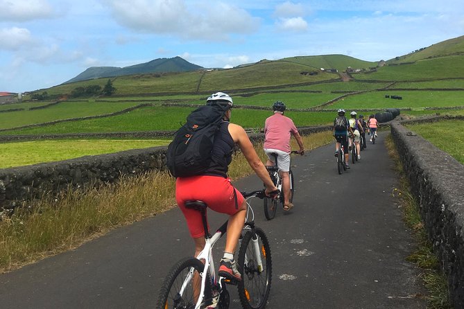 Patchwork e-Bike Ride - Pastures, Cows, and Flat Roads: A Relaxed Day Out
