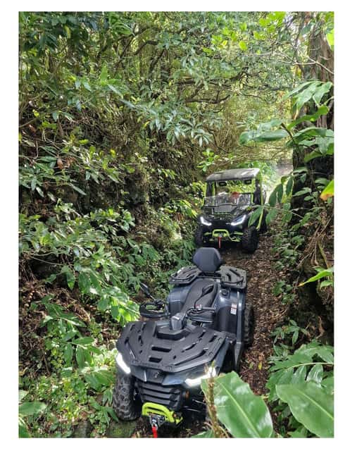 Pico: Dune buggy adventure - Off-road terrain on Pico: volcanic rock, fairy-tale forests, and that sea horizon