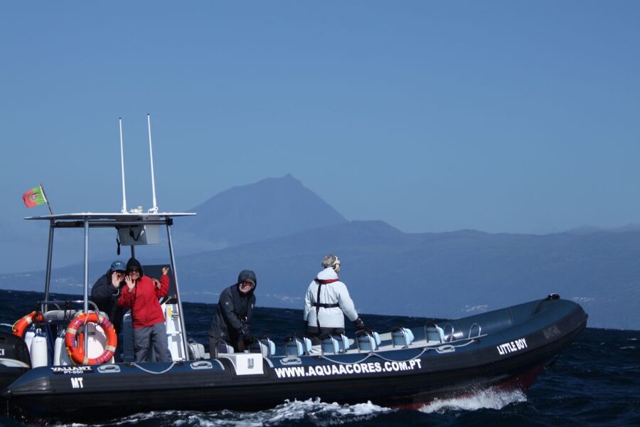 Pico Island: Azores Whale & Dolphin Watching on Zodiac Boat - Key points before you go