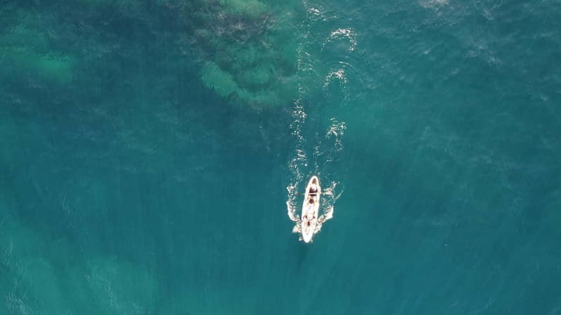 Pico island: guided kayak and snorkel tour - Paddling Past Pico Mountain: Why the Coast View Feels Different