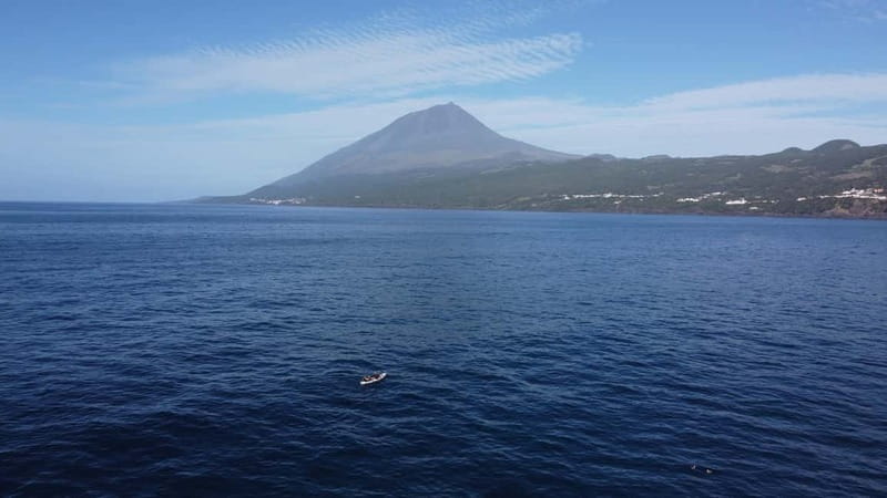 Pico island: guided kayak and snorkel tour - 15 Minutes of Safety, Then Real Time on the Water
