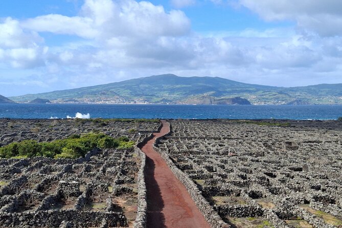 Pico Island highlights - Private tour (+ optional wine tasting) - Key takeaways