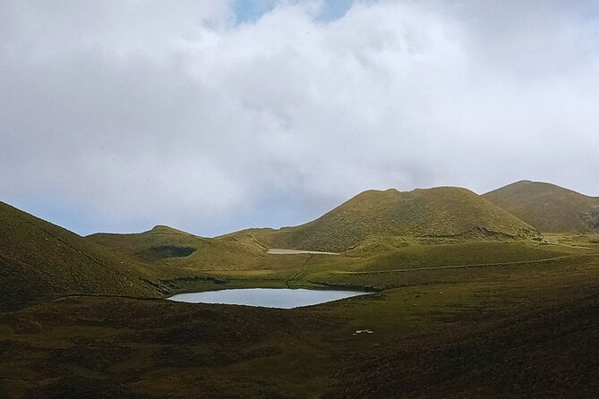 Pico Island highlights - Private tour (+ optional wine tasting) - Madalena guided wine tasting: three volcanic wines and a simple decision