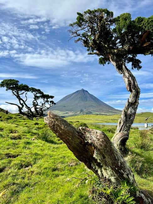 Pico island: highlights, wine tasting and local gastronomy - Key highlights you should care about