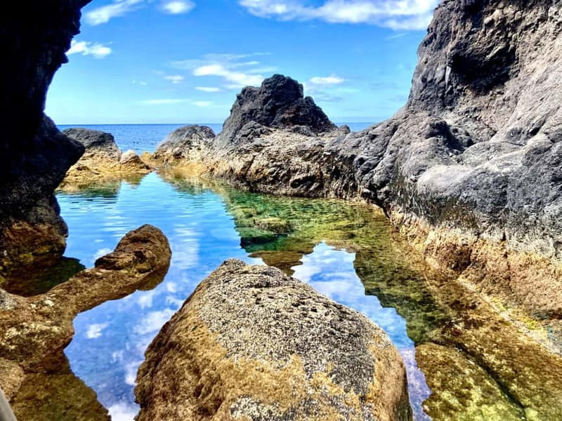 Pico island: highlights, wine tasting and local gastronomy - Pico in One Day: Whales, Cows, Wine, and Lava