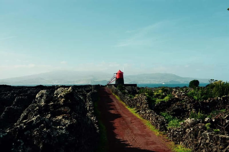 Pico island: highlights, wine tasting and local gastronomy - Central Plateau viewpoints: volcanic lagoons, endemic plants, and the cow factor