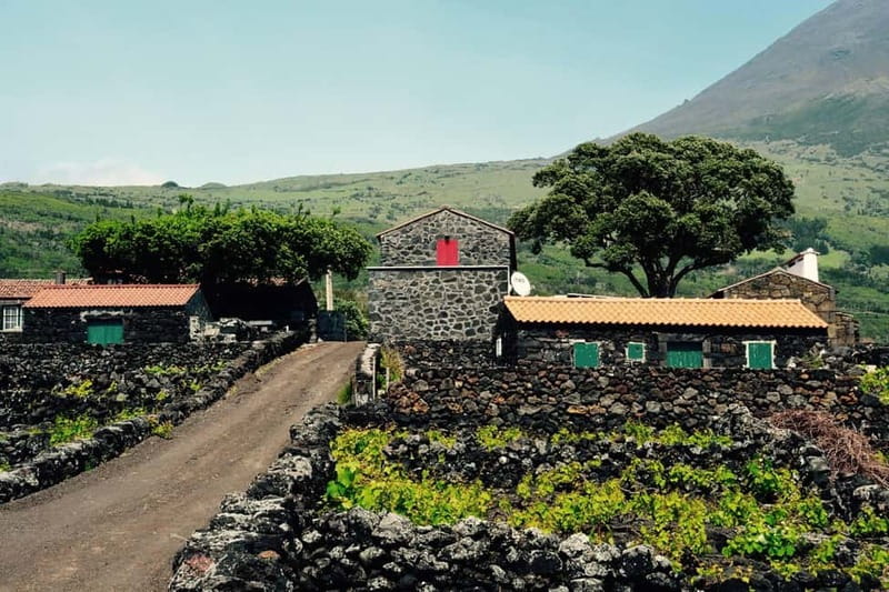 Pico island: highlights, wine tasting and local gastronomy - The road’s secret stops: rock formations and “keep your eyes open” moments