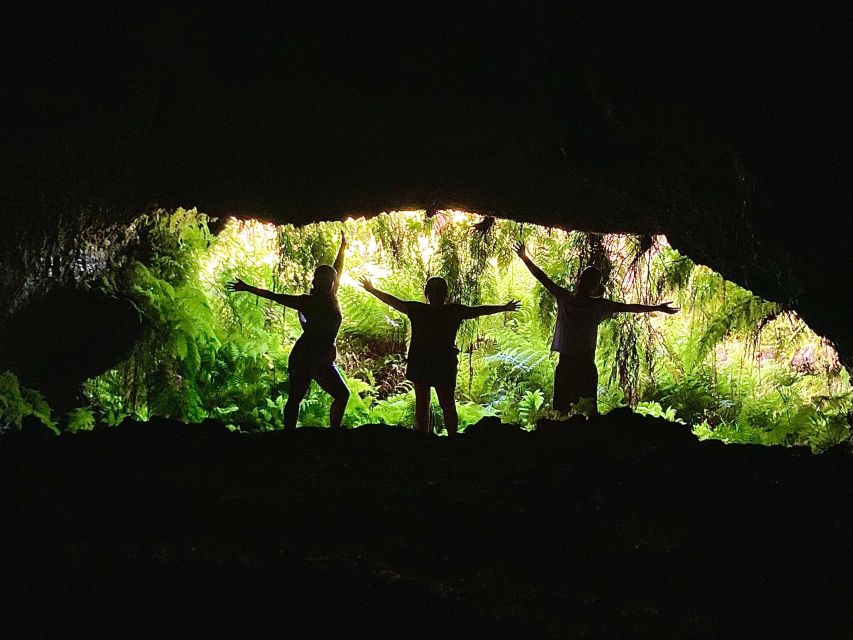 Pico island: highlights, wine tasting and local gastronomy - Pico Vineyards, the Underground Wine Experience, and terroir tasting