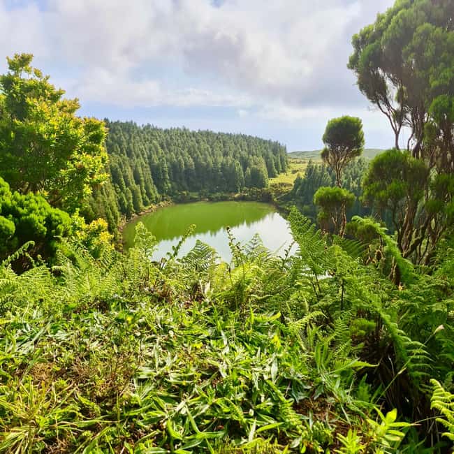 Pico Island: Lagoons and Mysterious Lava Tunnels Guided Tour - Who this tour suits best (and who might rethink it)
