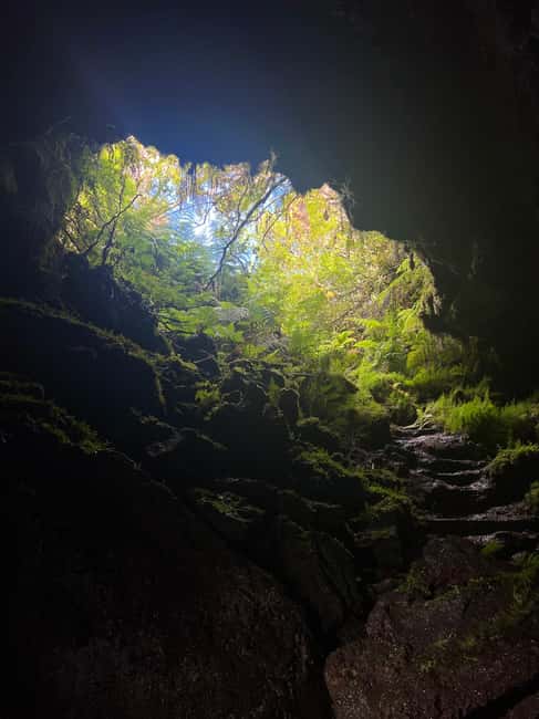 Pico Island: Lagoons and Mysterious Lava Tunnels Guided Tour - Should you book Pico Lagoons and Mysterious Lava Tunnels?