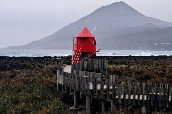 Pico Island lakes, craters & volcanic curiosities - Private tour - Estrada das Lagoas: Laurel Silva Remnants and a Time Capsule of the Island