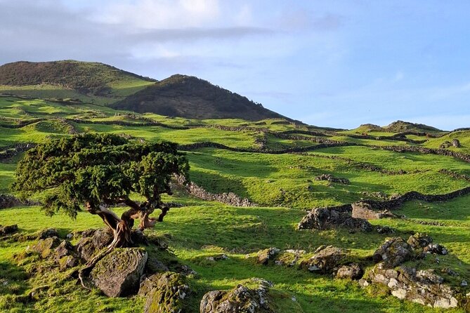 Pico Island lakes, craters & volcanic curiosities - Private tour - Prainha Picnic Lunch: A Simple Break That Fits the Day