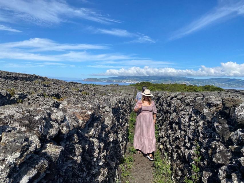 Pico Island: Wine Tasting, Independent Producers & Culture - Practical details that make the day smoother