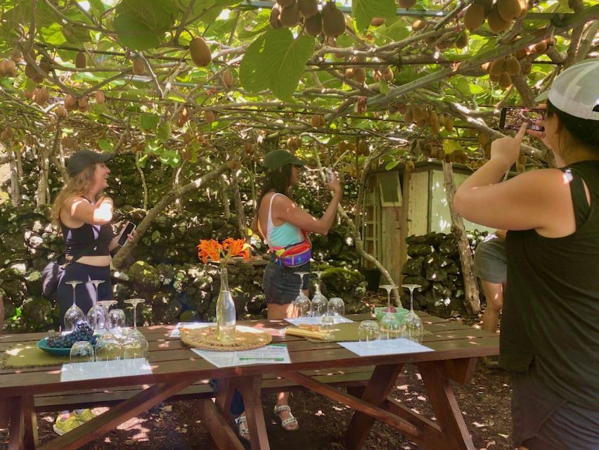Pico Island: Wine Tasting, Independent Producers & Culture - A local bar stop for wine, coffee, and real island bites