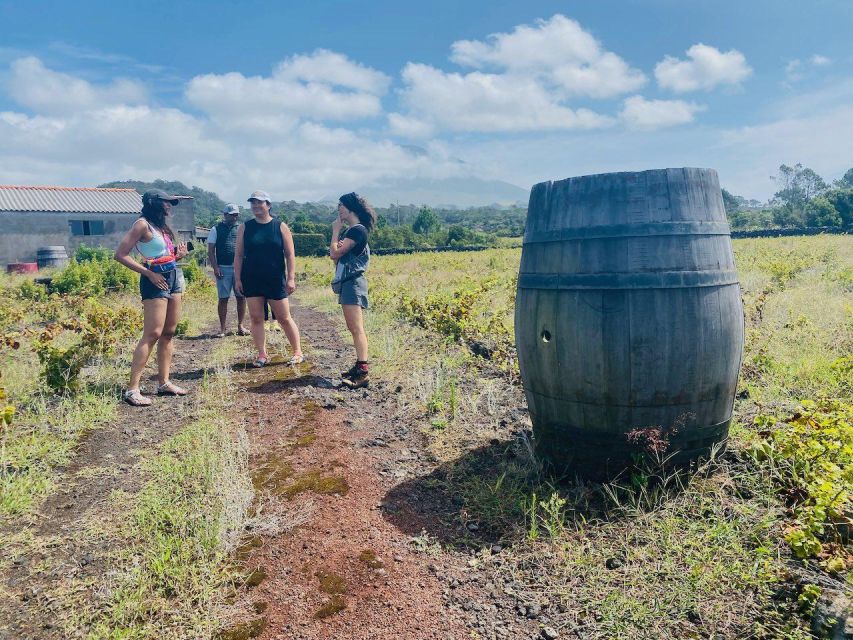 Pico Island: Wine Tasting, Independent Producers & Culture - The traditional village viewpoint on the way back